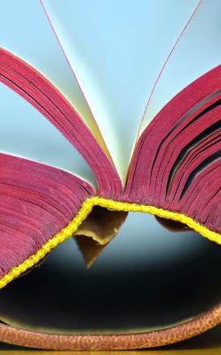 Яркий книжный переплет